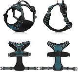 rabbitgoo Large Dog Harness No Pull Adjustable Reflective Padded Vest Dark Green view 9