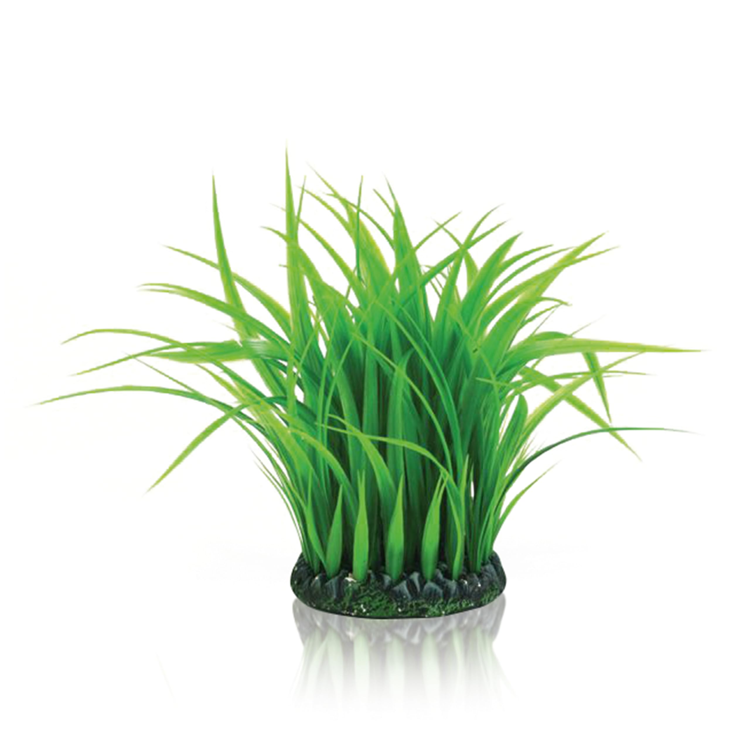 biOrb Fish Tank Decorations, Grass Ring Plant (1 x Medium Green Aquarium Plant), Fish Tank Plants To Add Colour, Perfect For Around Air Column, Natural-Looking Aquarium Decor For Scenic Background