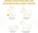 Vetzyme High Strength Flexible Joint Supplements for Senior Dogs 30 Tablets view 4