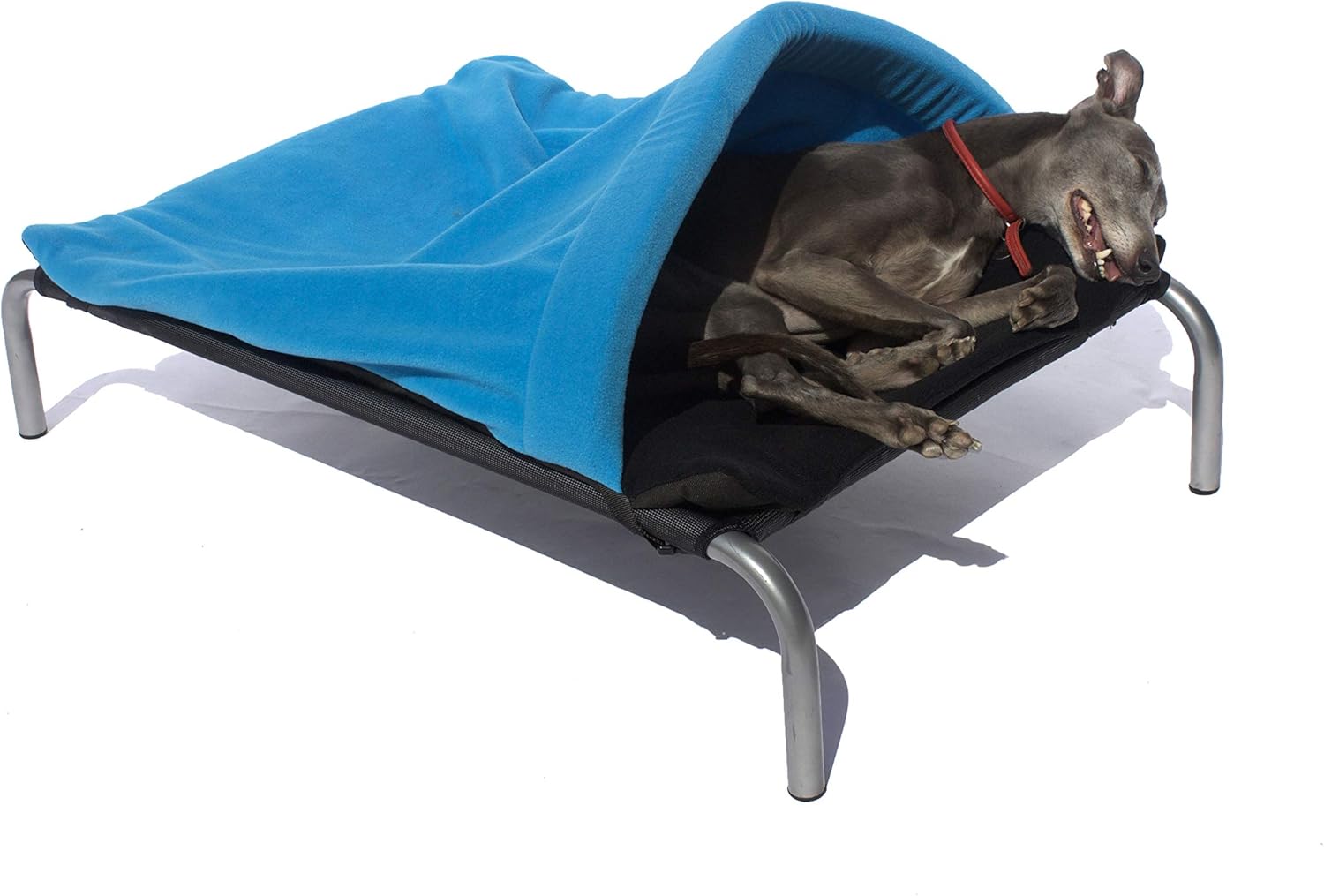 HiK9 The Original Snuggle Tunnel (Large, Turquoise & Black) Amazon.co