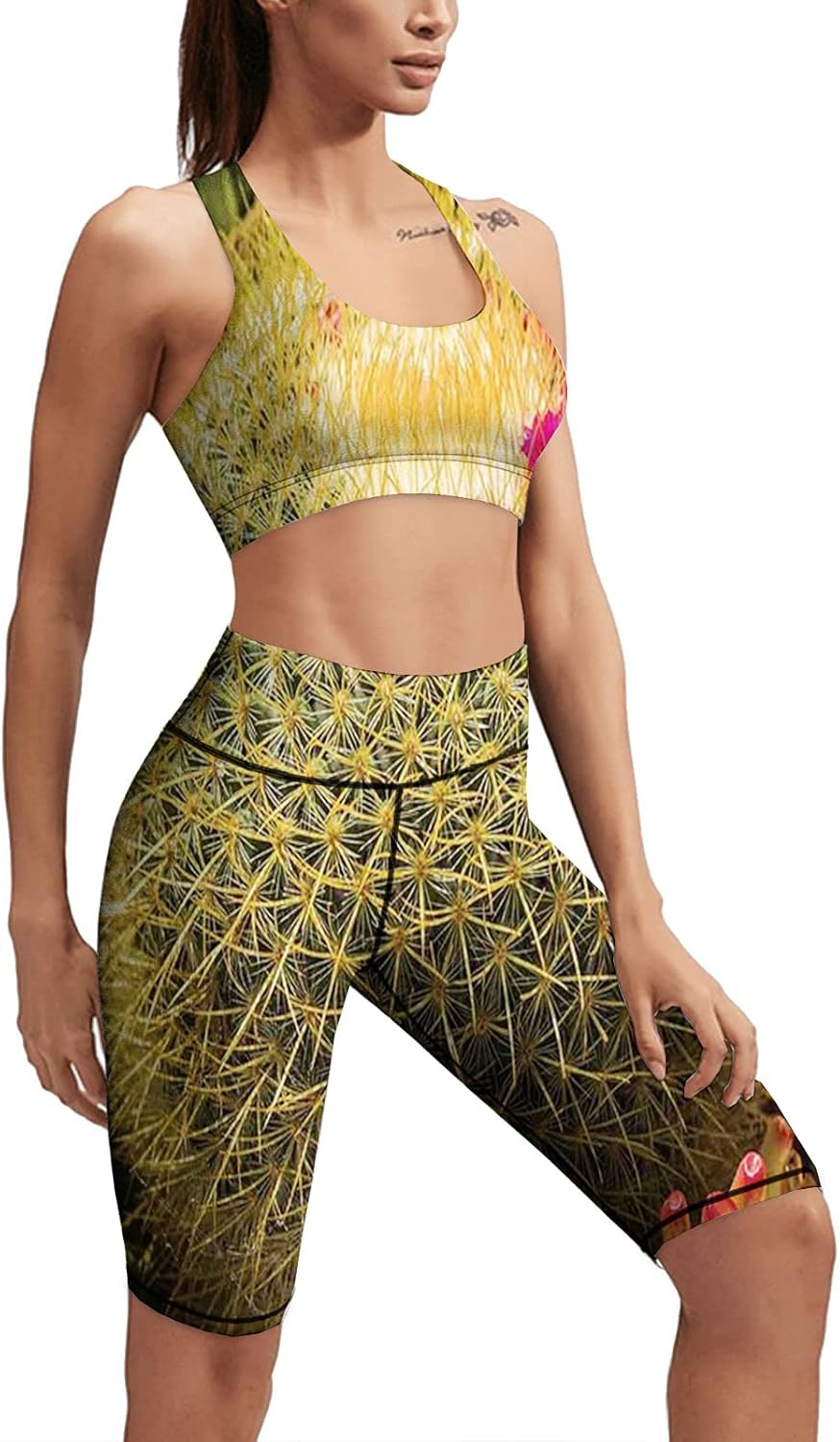 Photo of Cactus Plant Flower with Spike Botanical Desert