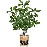 GnFlus Fake Stems in Glass Vase with Faux Water and Handcrafted Bamboo Weave 13.4&rdquo; Artificial Plants Leaves for Shelf Desk Bathroom Farmhouse Room Coffee Table Home Decor