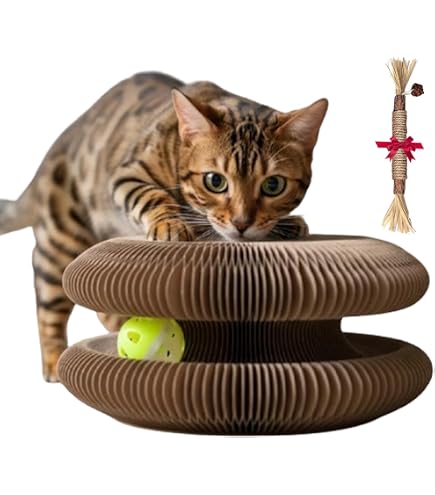 Anxiety Relief Cat Toy Reversible Cat Scratch Toy With Bell Balls ...