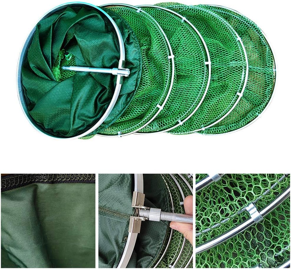 Daxin Double Stainless Steel Rings 5 Layers Collapsible Fish Care Net, Folding Shrimp Minnow Fishing Trap Dip Net, Cage 50kg Load : Sports & Outdoors