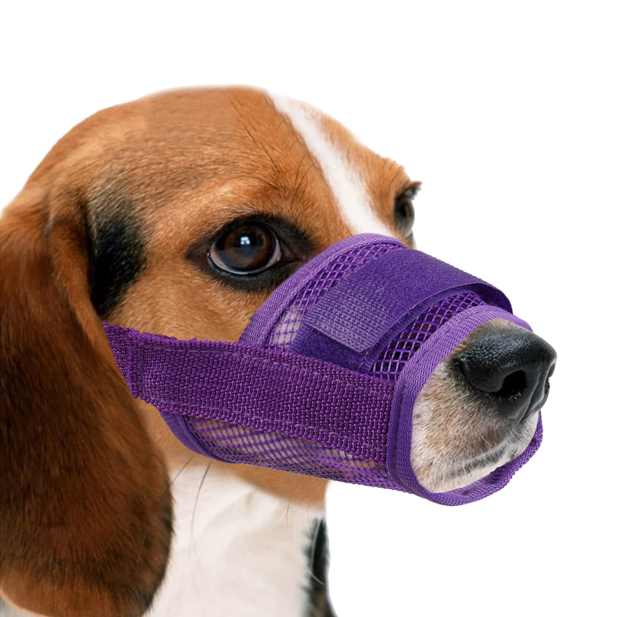 YAODHAOD Nylon Mesh Breathable Dog Mouth Cover, Quick Fit Dog Muzzle with Adjustable Straps，Pet Mouth Cover, to Prevent Biting and Screaming to Prevent Accidental Eating (M, purple)
