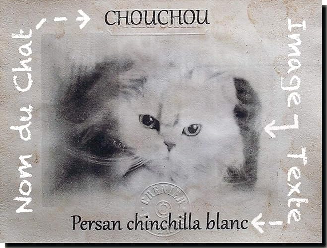 Amazoncom Your Cat In Vintage Incense Burning Paper From