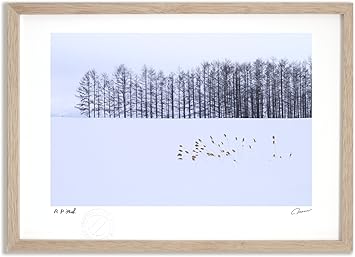 Amazon Co Jp アートフォト 絵画 壁掛け 冬景色 富良野 美瑛 高橋真澄 インテリア 壁掛け 額入り アートパネル リビング 玄関 プレゼント モダン アートフレーム おしゃれ ホーム キッチン