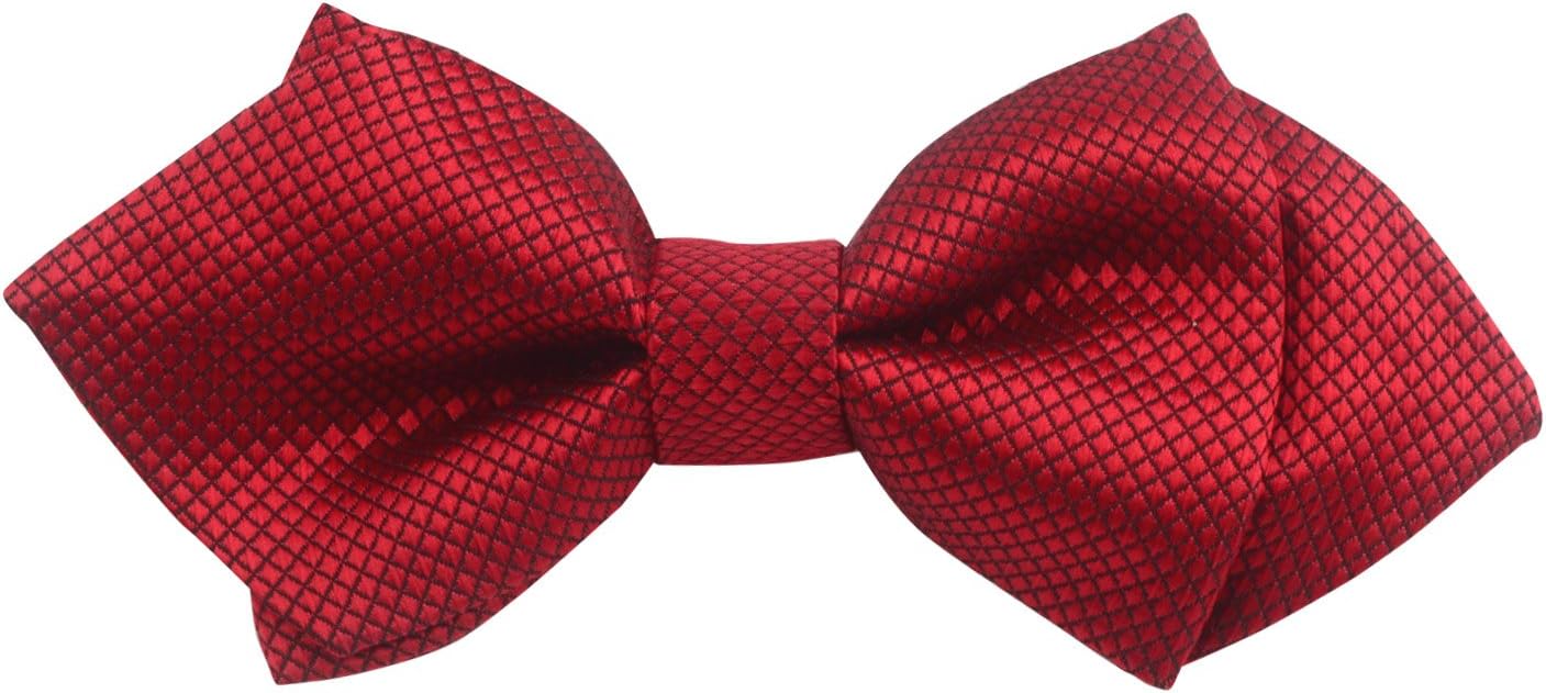 Zelta Little Boy's Pre-tied Bow Ties Adjustable Elastic Strap