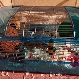 kaytee crittertrail super habitat