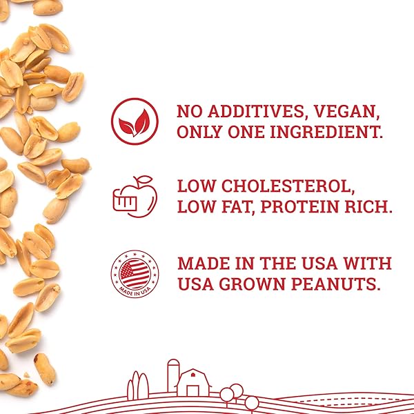 HOOSIER HILL FARM PEANUT BUTTER POWDER, 1LB (PACK OF 1), NO ADDITIVES, 100% PEANUT POWDER, 8G OF PROTEIN PER SERVING