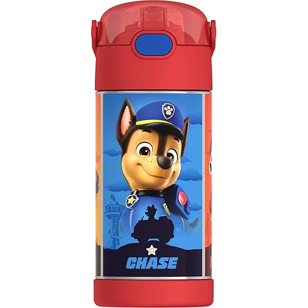 Viacom Paw Patrol - Mochila De 16 Pulgadas Con Botella De Agua, Bolsa De Almuerzo, Calcomanías Para