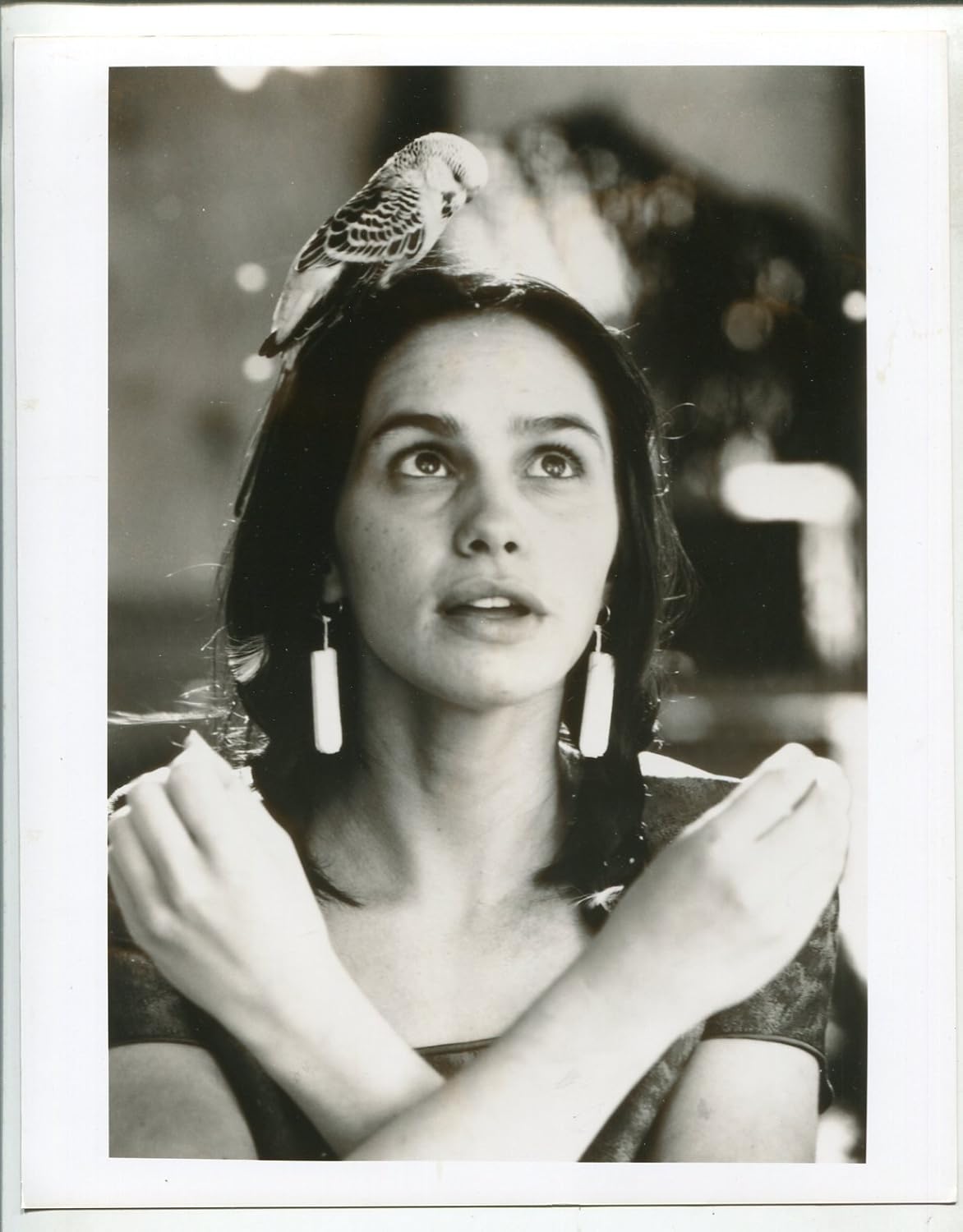 Movie Photo Fistful Of Flies 1998 8 X 10 B W Still Cathren Michalak Parakeet Vg At Amazon S Entertainment Collectibles Store amazon com