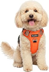 Funfox Dog Harness Small No Pull Vest with Handle Reflective Strips Orange
