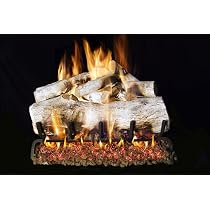 Amazon.com: RH Peterson Co. New See Thru Mountain Birch Gas Logs- 30 Inch-  LOGS ONLY : Home u0026 Kitchen