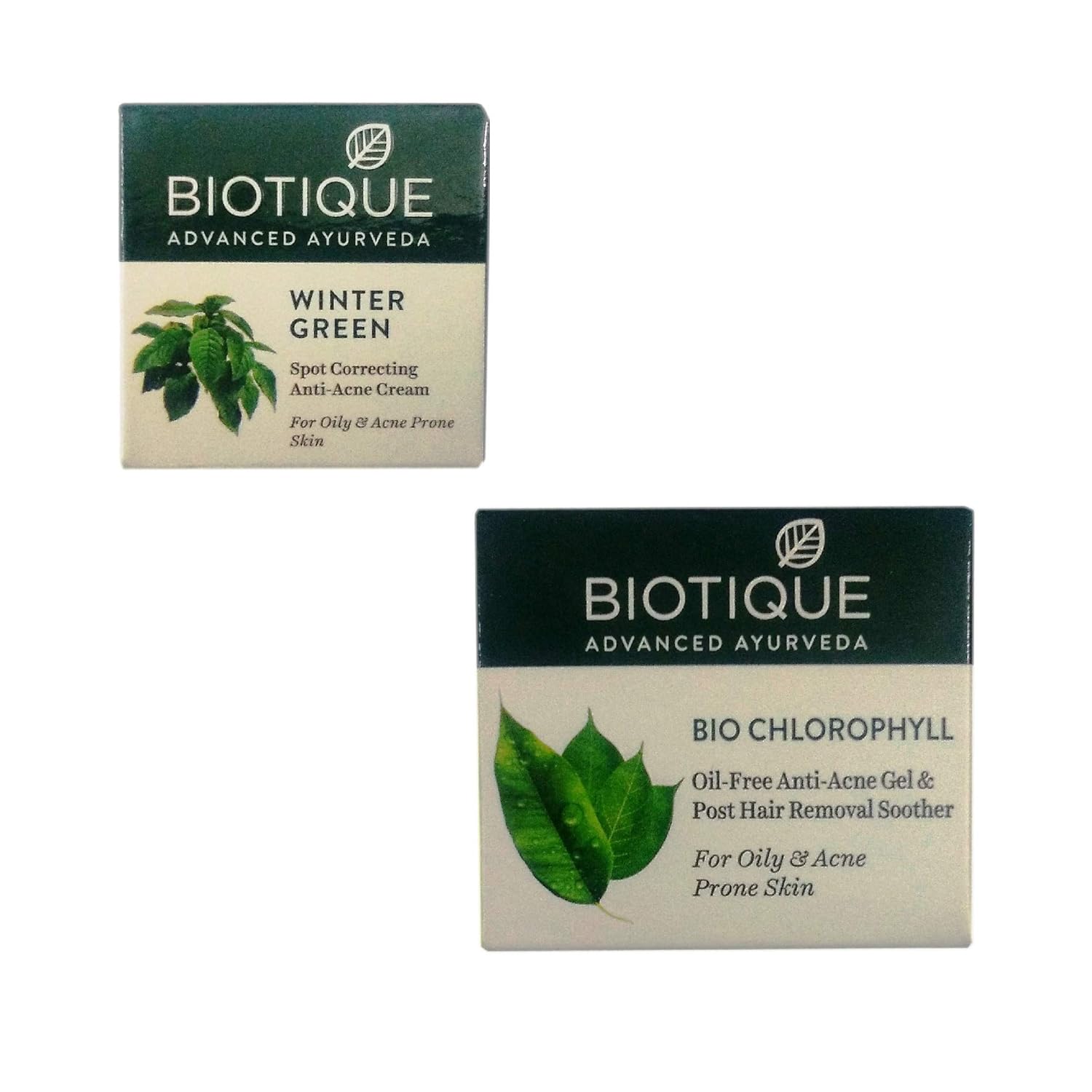 biotique winter face cream