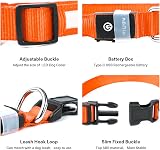 PcEoTllar Light Up Dog Collar Rechargeable 8 Modes 7 Colors Adjustable view 5