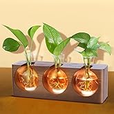 Plant Propagation Station with Wooden Stand, Plant Terrarium with 4 Mode 9-Level Adjustable LED Lights, 3 Glass Propagation Vases for Hydroponics, Propagation Tubes Unique Gifts for Women Home Decor