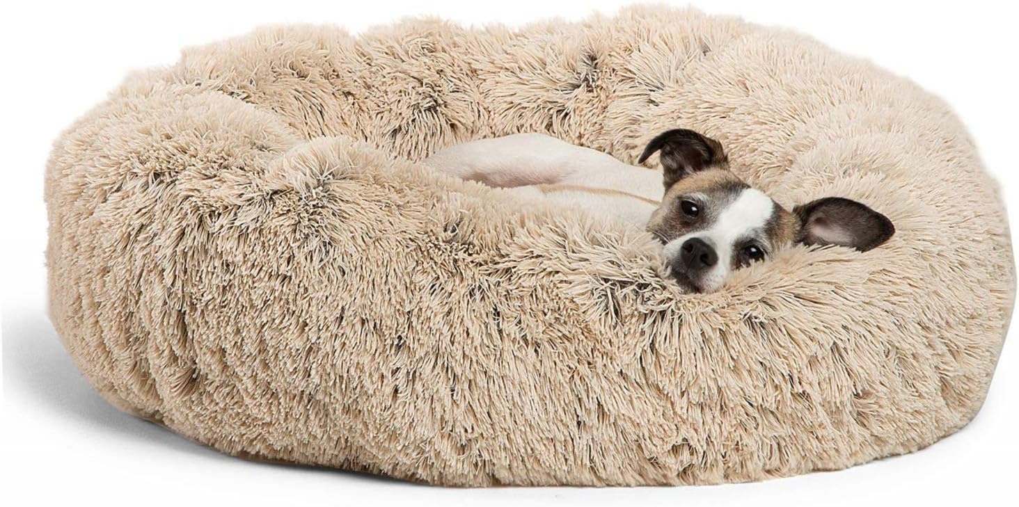 6 Best Dog Beds for Dachshunds(Review) Pet Daily Press