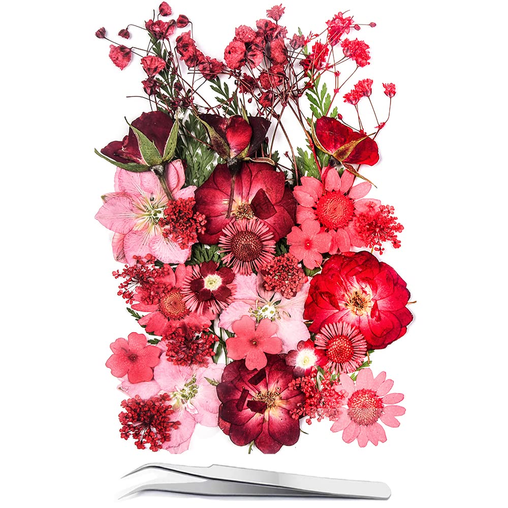15 Types 37pcs Red Dried Pressed Flowers for Resin Molds,YouthBro Real Natural Pressed Flowers for DIY Art Crafts,Candle Making, Nails Décor,Soap Making, Phone Case