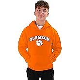 Little King NCAA Youth Boys Hoodie Sweatshirt-Arch Logo- Team Colors YS YM YL YXL