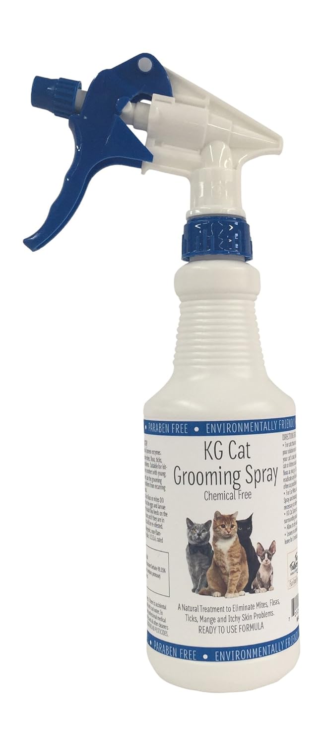 Best safe flea treatment for carpet - Sweet Kitchen Place