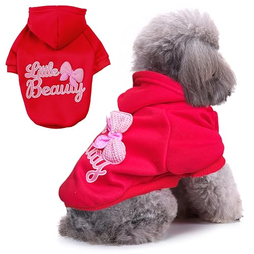 Jecikelon Winter-Hoodie Für Kleine Hunde – Warme Jacke Mit Kapuze & Taschen | Für Chihuahua, Welpen & Katzen (Größe XXL, Schwarz)