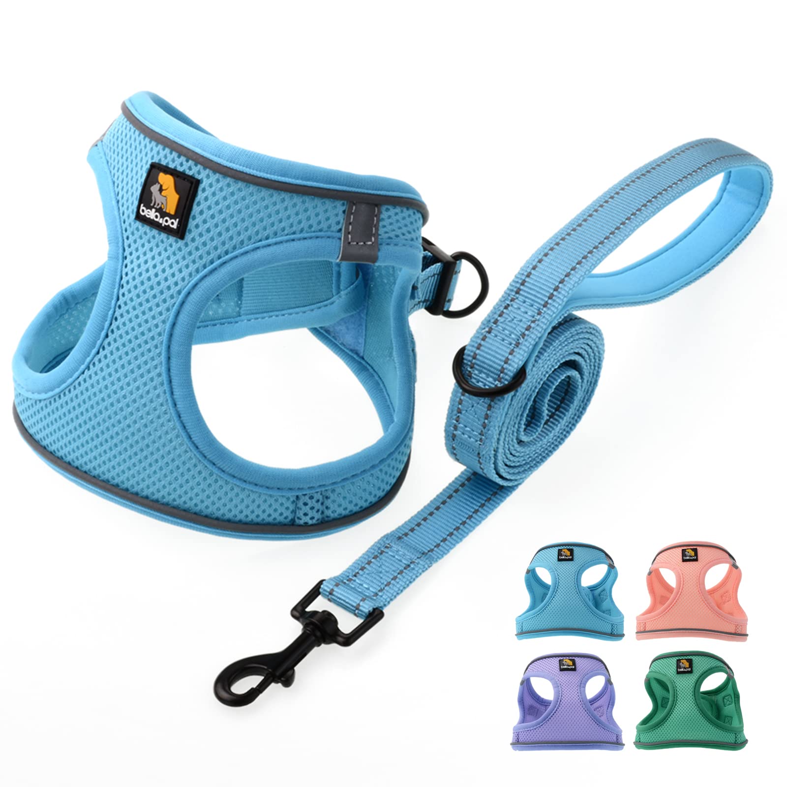 BELLA & PAL Dog Harness and Leash Set, Step-in Puppy Harness, Breathable Air Mesh with Reflective Strips, No Pull Vest for Puppies/Extra Small/Small Dogs, Blue, XS