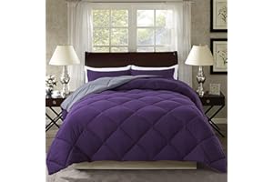 ELNIDO QUEEN® 3 Pieces Comforter Set (Full, Purple & Grey) - 1 Reversible Down Alternative Comforter with 2 Pillow Shams - Soft Lightweight Duvet Insert | 82x86 inch