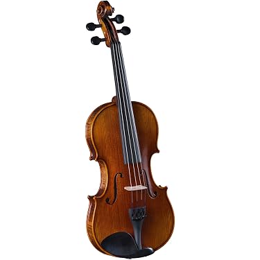 Amazon.com: Cremona SVA-500 Premier Artist Viola Outfit – 16 inch