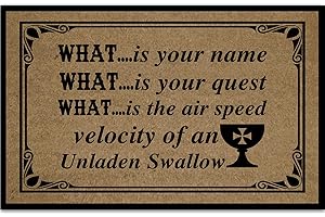Doormat for Outdoor Entrance Home, What is Your Name What is Your Quest What is The Air Speed Velocity of an Unladen Swallow 