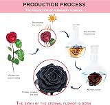 INTIGNIS Black Eternal Forever Rose | Preserved Gift for Women view 5
