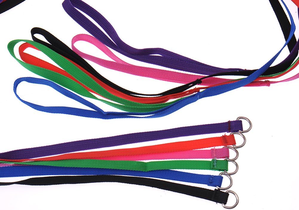 Hypeety 6 Pcs Bulk Pack Slip Leads Dog Pet Grooming Kennel Animal Control Shelter Lead Leash New, 6pcs - Image 4