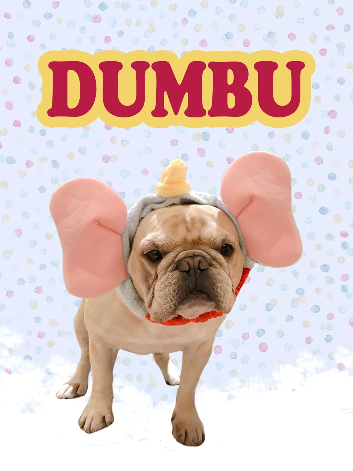 bat hat for french bulldog