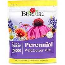 Wildflower Seeds - Premium Flower Seeds [1/4 Pound