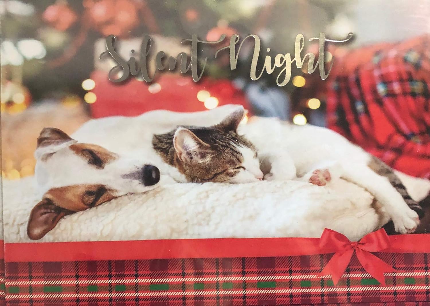 sleeping jack russell