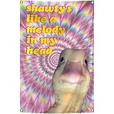 Duck Flag Shawty's Like A Melody In My Head Funny Flags 2x3Ft with Brass Grommets Meme Banner for College Dorm Room Man Cave Parties Decoration