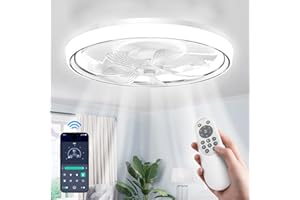 Biukis Modern Ceiling Fans with Lights: Ceiling Fan with Lights 3 Color 6 Wind Speeds Smart APP Remote Low Profile Ceiling Fan for Living Room Bedroom Dining Room Outdoor