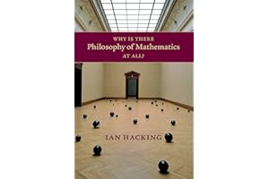 Why Is There Philosophy of Mathematics At All?