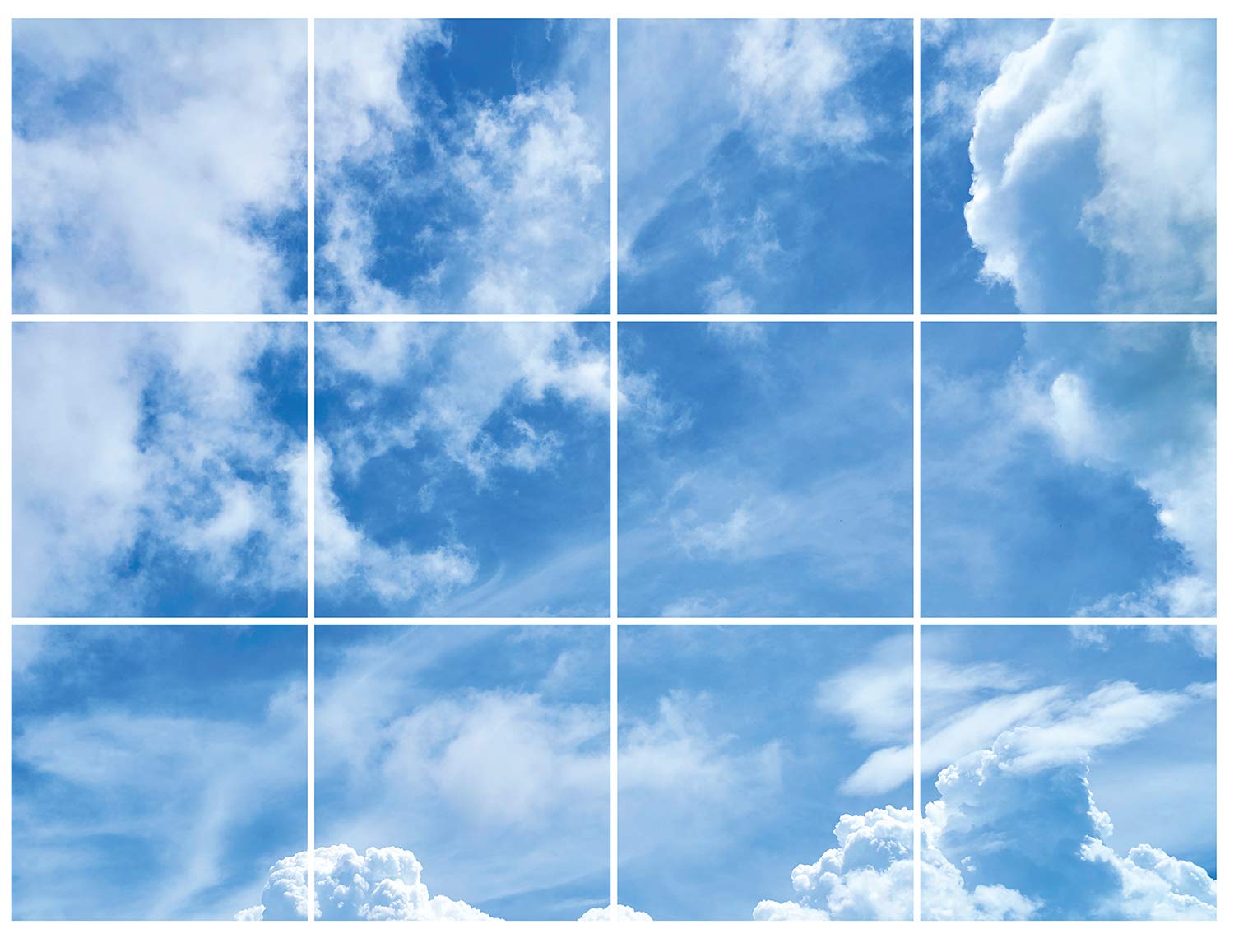 Amazon Com Golden Eagle Decor Graphics 12 Pc 48 Sq Ft 6ft