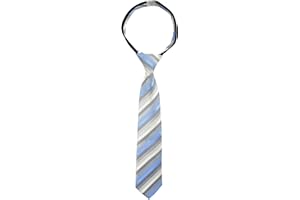 Spring Notion Boys' Pre-tied Woven Zipper Tie