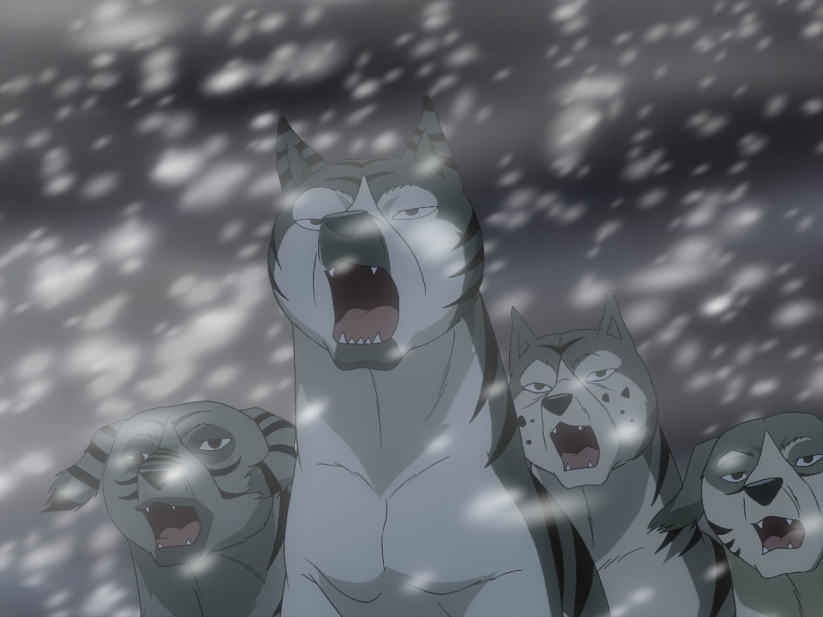 Amazon Co Jp 銀牙伝説weed ウィード を観る Prime Video