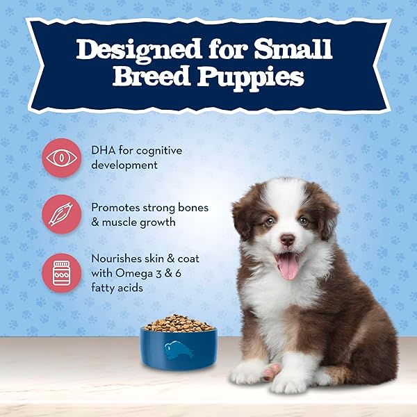 BLUE BUFFALO BABY BLUE NATURAL SMALL BREED PUPPY DRY DOG FOOD, HEALTHY GROWTH FORMULA WITH DHA, CHICKEN AND OATMEAL RECIPE, 4-LB BAG