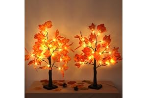 Gorgeoos 2 Pack Fall Lighted Maple Tree 48 LED Lights Thanksgiving Decoration Artificial Tree Lights 20 inch Battery or USB Powered DIY Table Light for Desktop Autumn Harvest Party Indoor Decor