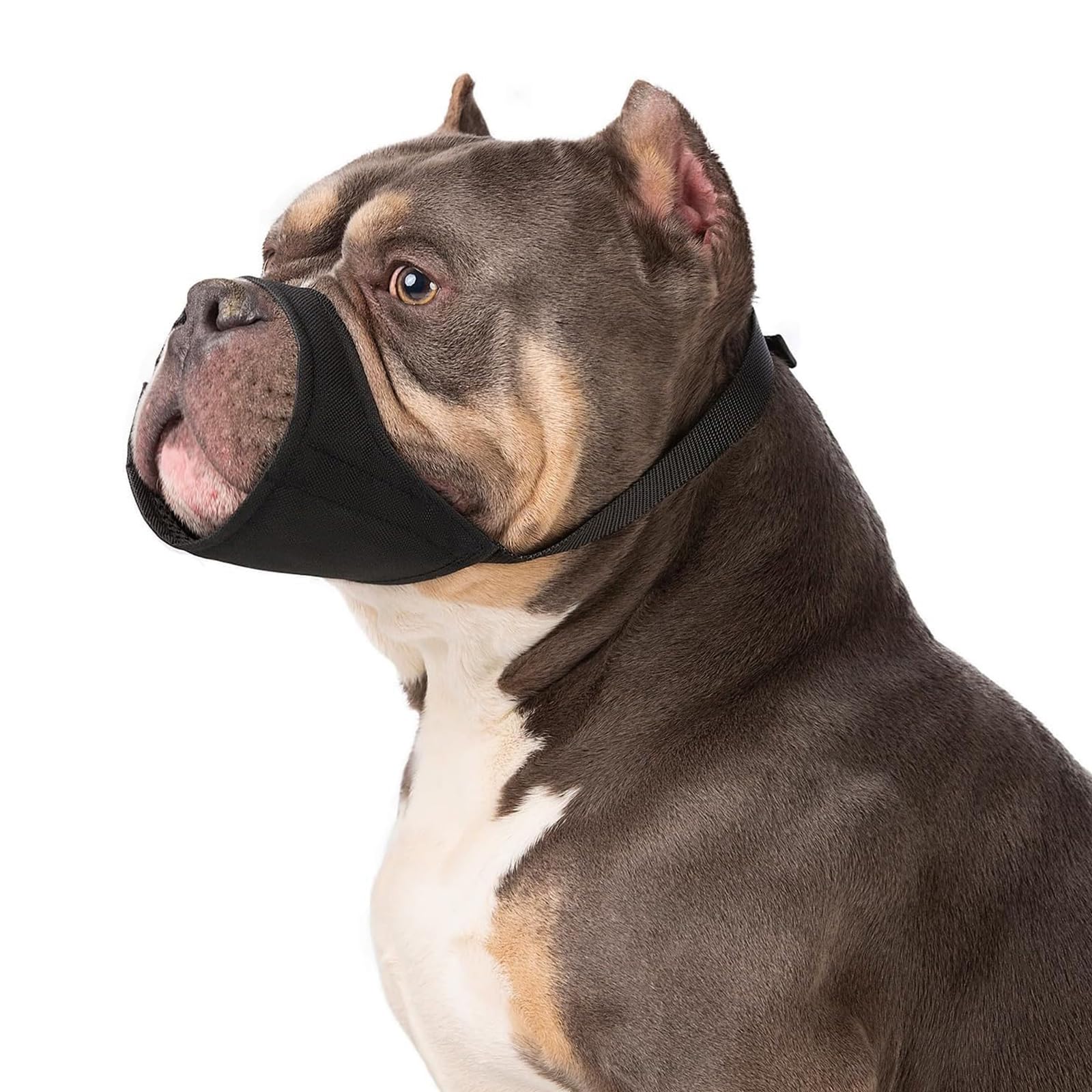 CVNRCLP Dog Muzzle for Pitbull Soft Muzzles for Rottweilers American Bully Bulldog Boxers to Prevent Biting and Barking for Medium Large Short Snout Dog for Grooming (M)