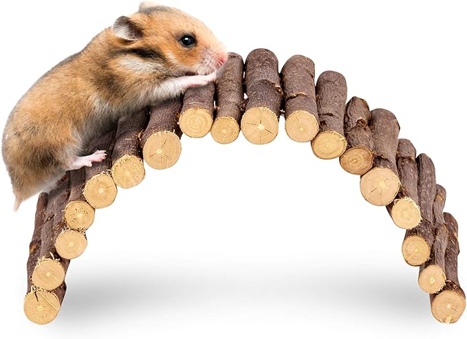 is a hamster a type of rat