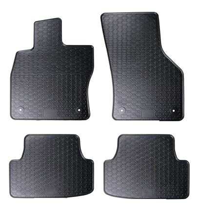 RAU DGMGH0003 Passform Gummimatten