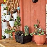 ORIMERC 6 Pack Self Watering Wall Planters White Indoor Outdoor view 2