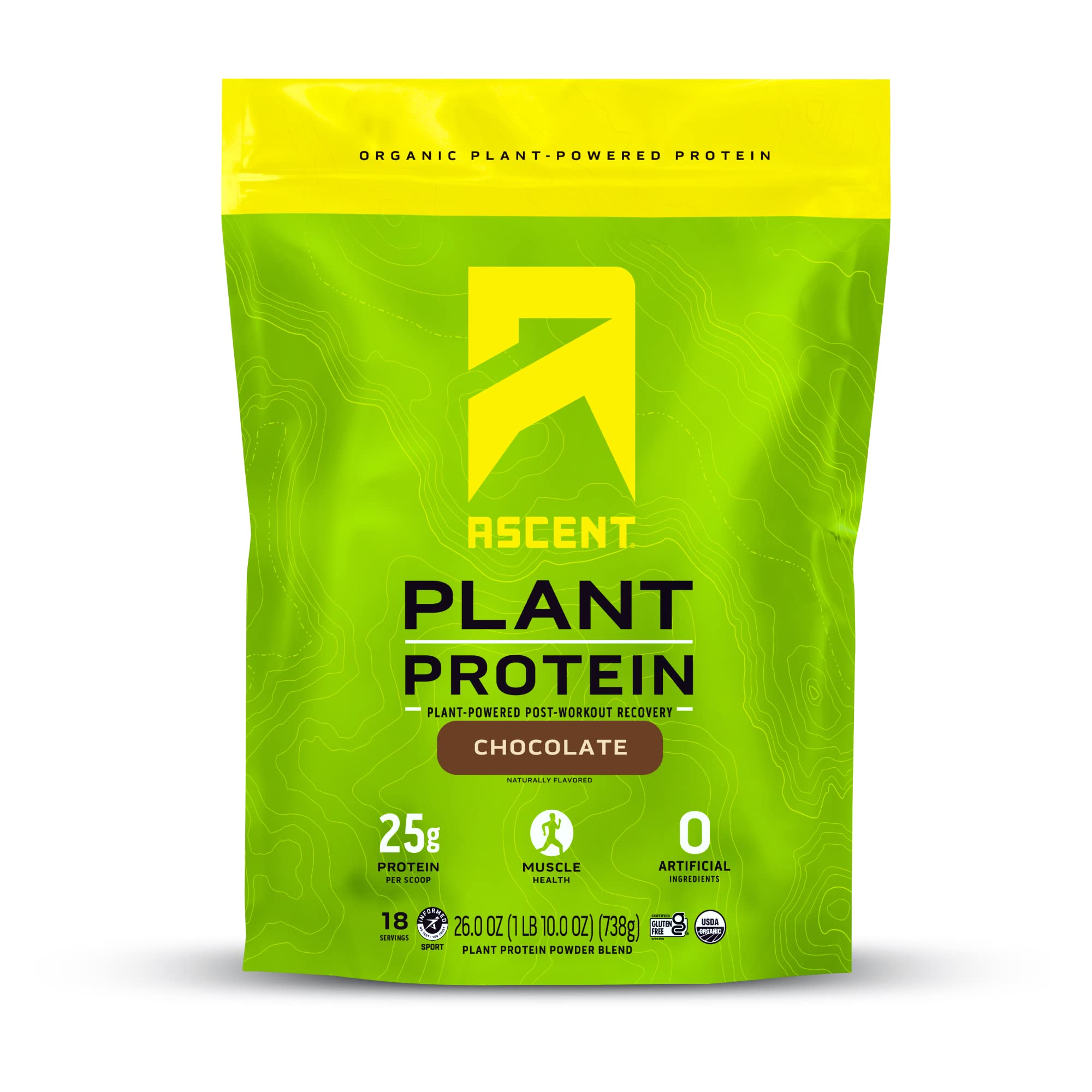 Plant Based Protein Powder (Chocolate)