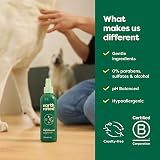 Earth Rated Dog Deodorizing Spray 8 oz White Tea Basil No-Rinse view 7