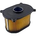AHL 13780HM8100 Air Filter Compatible with HYOSUNG Comet GT125 GT125R GT250 GT250R GT650 GT650R GT650S，Aquila GV650 2004 2005 2006 2007 2008 2009 2010 2011 2012